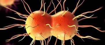 Scary News: United States Sees Its First Cases of Super Gonorrhea