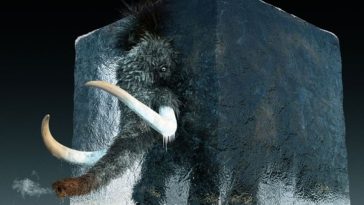 Woolly Mammoth To Return From Extinction in 4 Years