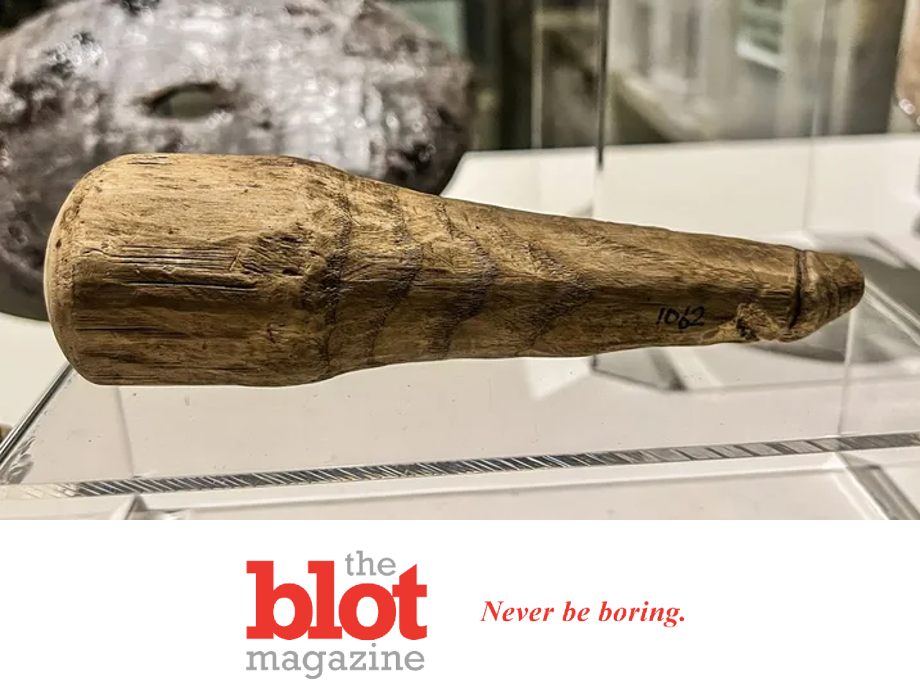 Archeologists Realize Ancient Roman Tool Actually a Dildo