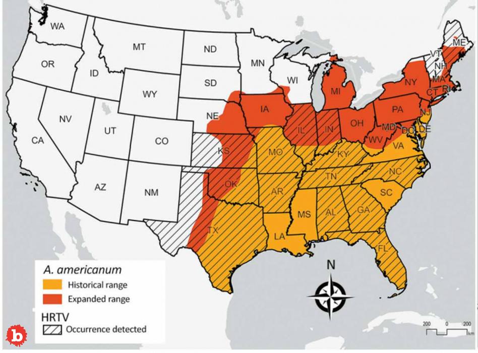 Deadly Heartland Tick Virus Spreading in United States