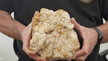 Amateur Gold Prospector in Australia Finds $160,000 Nugget