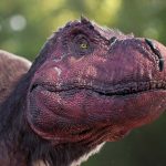 Did the Tyrannosaurus Rex Actually Have Big Lips
