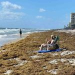 Sargassum Blob Approaching Florida Is Astonishingly Huge