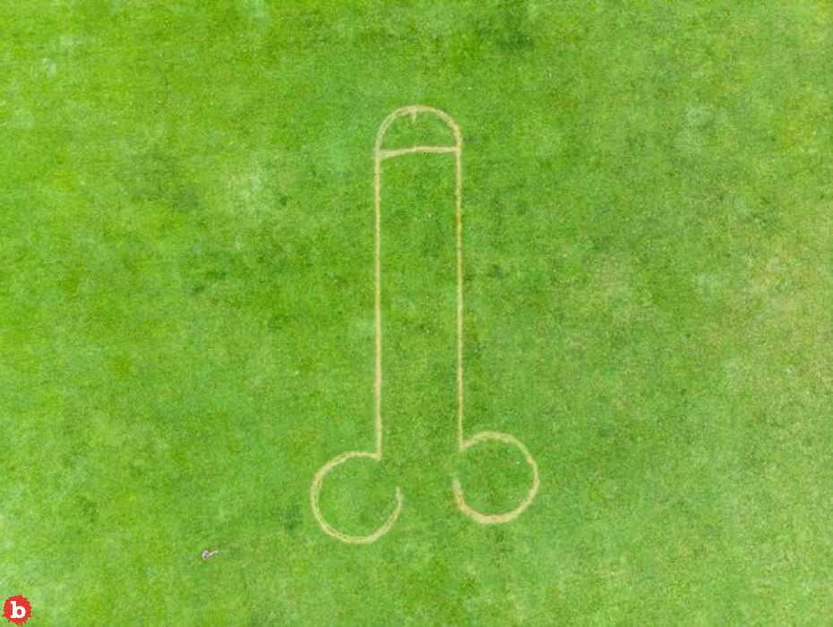 Pranksters Carved Giant Penis Into Lawn Afore English Coronation
