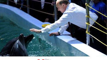 Russia to Looks to Double Putin’s Porpoises for Security