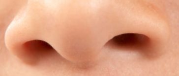 New AI Can Identify Smells Just From Simple Chemical Analysis