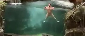 Because Social Media Trend: Man Does Cannonball Naked Into Bass Pro Aquarium