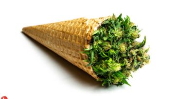 Mainer Could Get 10 Years in Jail for Lacing Ice Cream With THC