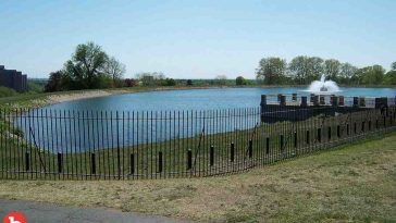 Rochester Reservoir Had Boil Water Notice for Dead Body