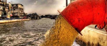 Human Sewage Putting Cocaine Into All Local Marine Life