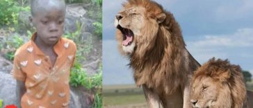 7-Year-Old Boy Survives 5 Days Alone in Dense Lion Habitat