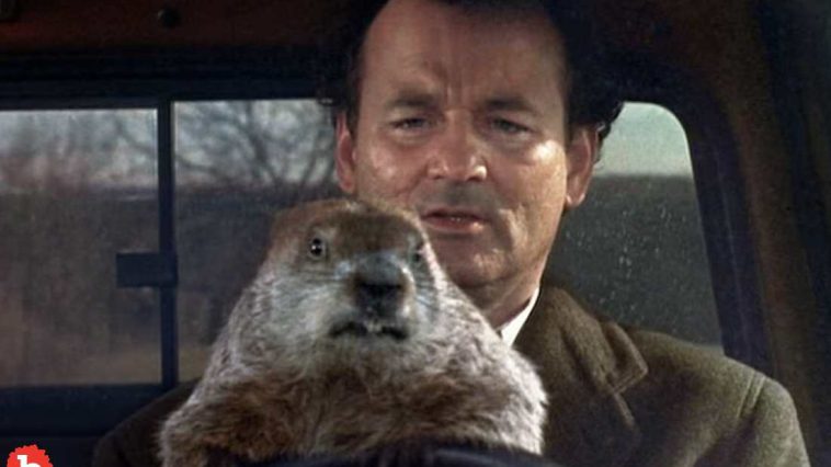 Today, February 2nd, Was the First Groundhog Day Back in 1887