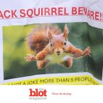 Attack Squirrel Sends 2 People to ER in San Francisco