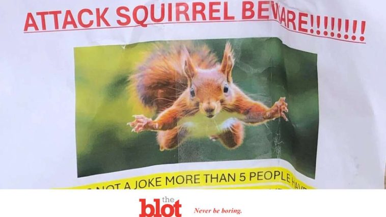 Attack Squirrel Sends 2 People to ER in San Francisco