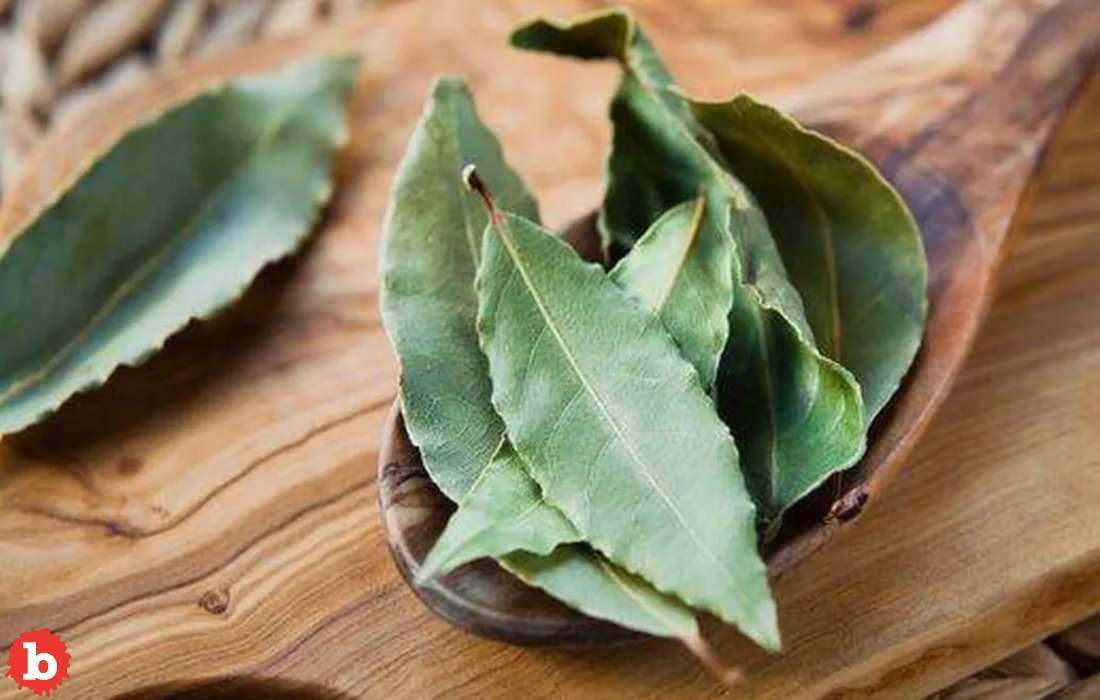 A Very Old School Way to Keep Bugs Out of The Pantry This WInter