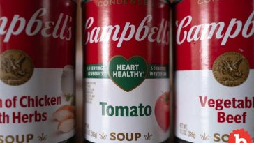 Campbells Soup Stock Price Hit As Brand Broadly Sinks