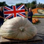 English Twins Grow Record 2,819 Pound Pumpkin