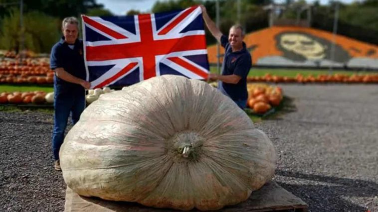 English Twins Grow Record 2,819 Pound Pumpkin