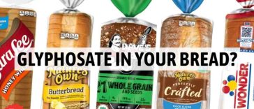 Florida Discovers Roundup Active Ingredient in Popular Breads
