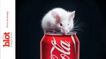 Artificial Sweeteners Change Metabolism For 2 Generations!